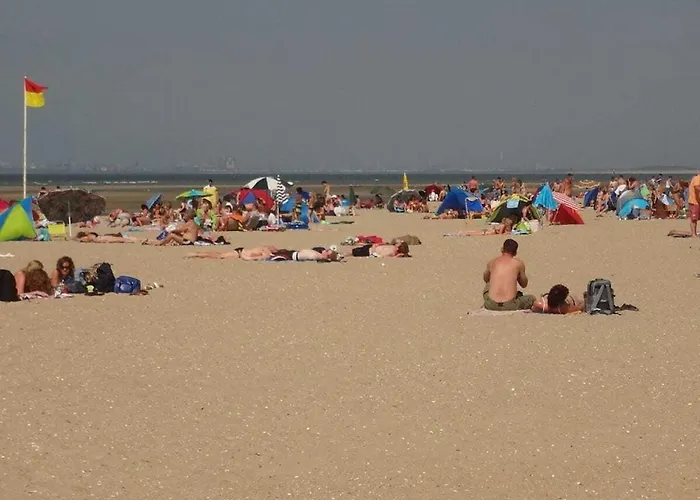 Huijsmansverhuur Type A De Luxe Zuiderdiep 39 Feriehus *