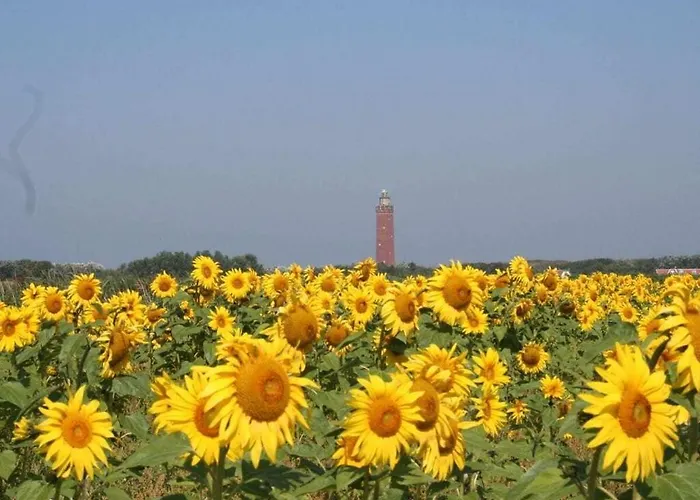 Huijsmansverhuur Type A De Luxe Zuiderdiep 39 Ouddorp