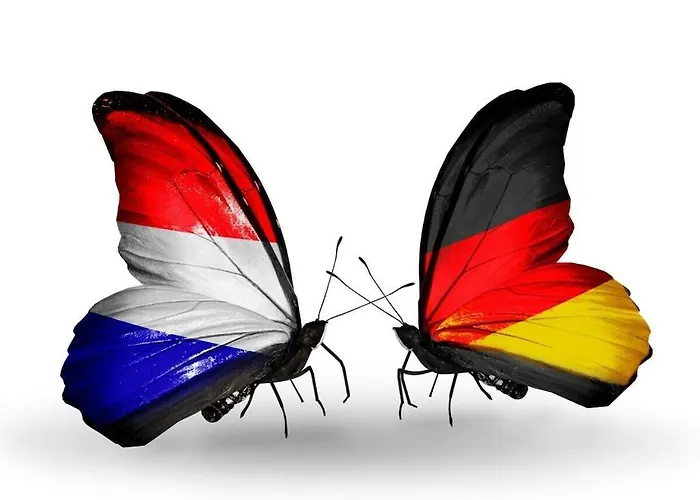 Dom wakacyjny Huijsmansverhuur Type A De Luxe Zuiderdiep 39